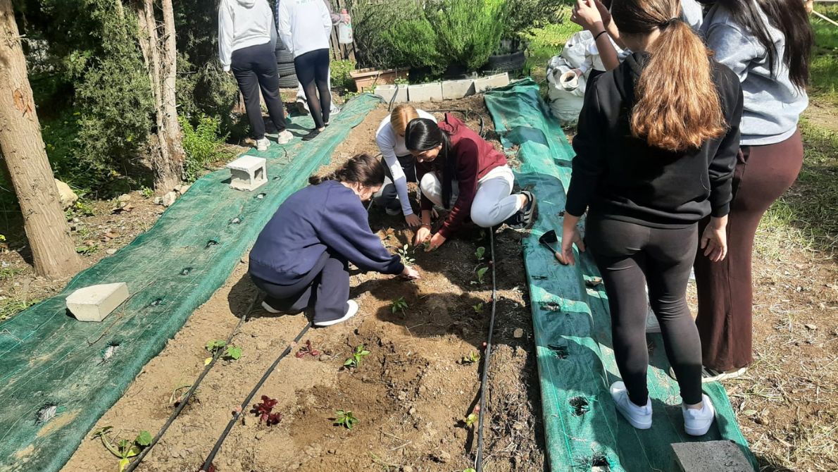 aula-verde aula-verde