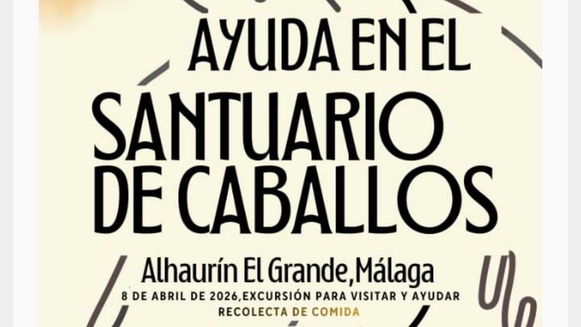 caballos